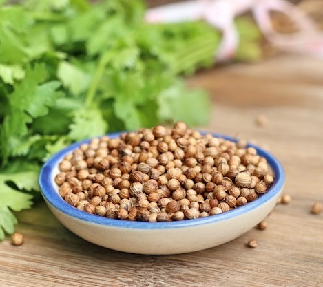 Semilla de cilantro (Coriandro)